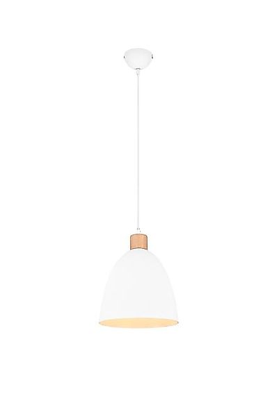 Pendelleuchte JAGGER 1xE27 ohne Leuchtmittel von REALITY Leuchten R30681031 günstig online kaufen