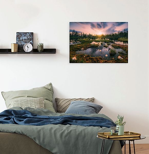 Komar Leinwandbild "Gloomy Swamps - Größe 60 x 40 cm", Baum-Blätter-Natur-B günstig online kaufen