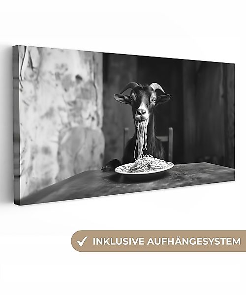 OneMillionCanvasses® Leinwandbild Panorama Ziege - Teller günstig online kaufen