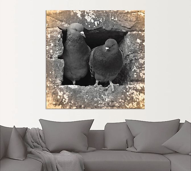 Artland Wandbild "Tauben Liebe", Vögel, (1 St.), als Alubild, Outdoorbild, günstig online kaufen