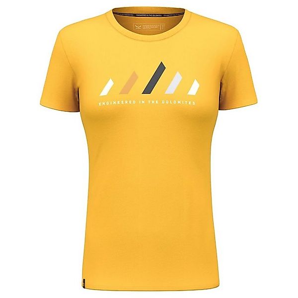 Salewa Kurzarmshirt Salewa W Pure Stripes Dryton T-shirt Damen günstig online kaufen