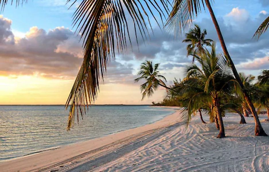 Papermoon Fototapete »Strand mit Palmen« günstig online kaufen