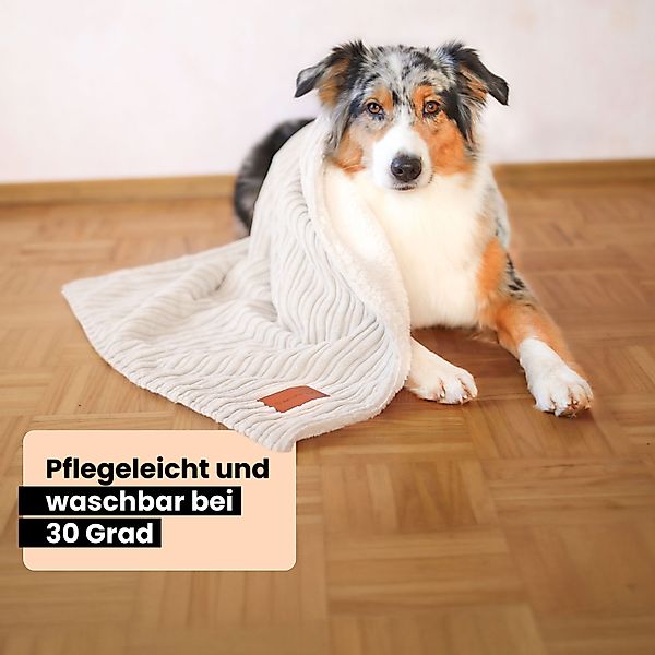 Wahre Tierliebe Tierdecke Premium Kuscheldecke Fluffy, Überzug, hält warm, günstig online kaufen