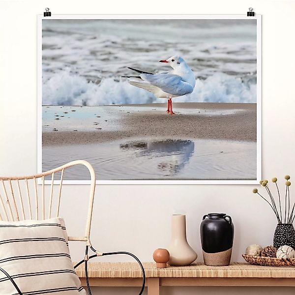 Poster Möwe am Strand vor Meer günstig online kaufen