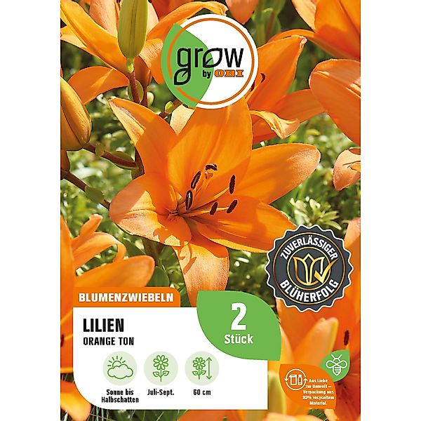 GROW by OBI Lilie Orange Ton Höhe ca. 60 cm Lilium asatic günstig online kaufen