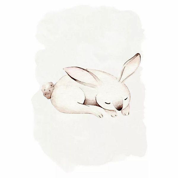 Komar Poster Sleepy Bunny Waldtiere B/L: ca. 30x40 cm günstig online kaufen