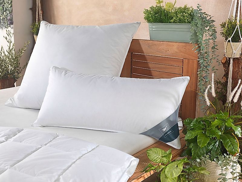 Haeussling 3-Kammer-Kopfkissen »GRÖNLAND Made in Green«, Füllung: Außenkamm günstig online kaufen