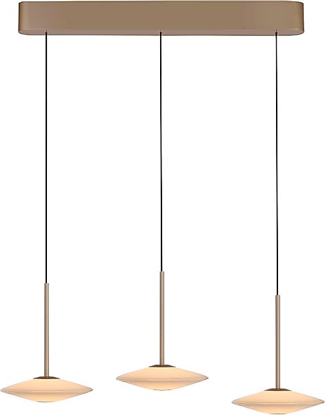 Paul Neuhaus LED Pendelleuchte »ELIPSA« LED-Board 1 Stk. Warmweiß Dimmfähig günstig online kaufen