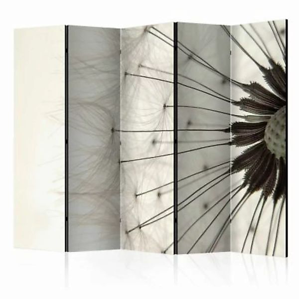 artgeist Paravent Dandelion seed head II [Room Dividers] schwarz/weiß Gr. 2 günstig online kaufen