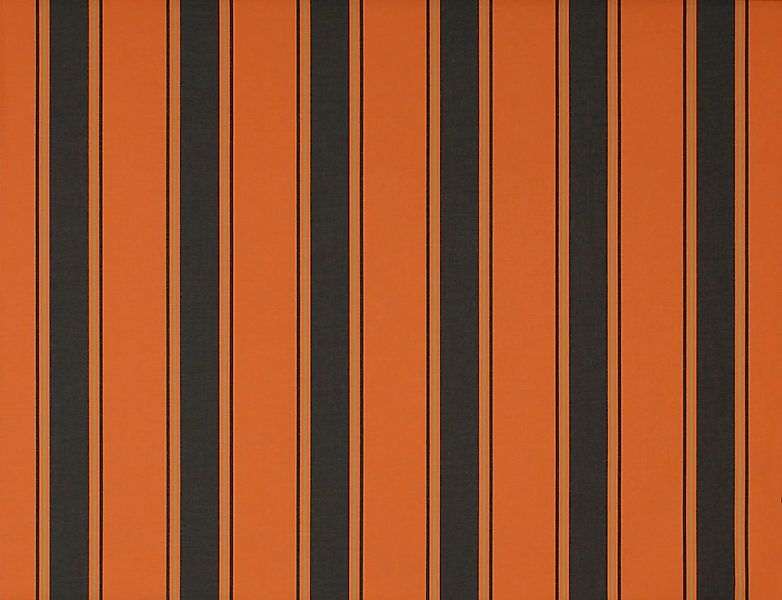 Wismar Kassettenmarkise "Classic S-Compact" Breite: 550 cm, Ausfall: 250 cm günstig online kaufen