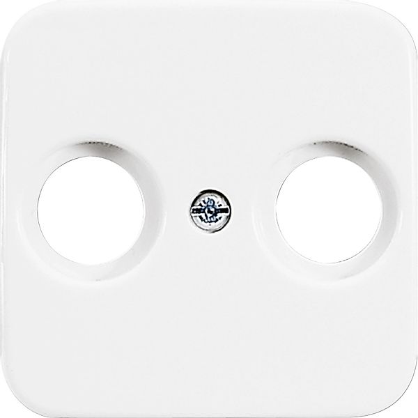 Busch-Jaeger Zentralscheibe aws f.Antennendose 2Loch 2531-214 - 2CKA001724A günstig online kaufen