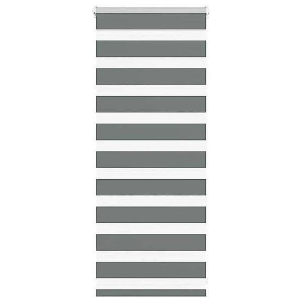 vidaXL Doppelrollo Dunkelgrau 65x100 cm Stoffbreite 60,9 cm Polyester 40140 günstig online kaufen