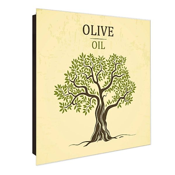 Banjado Großer Schlüsselkasten Glas 30x30cm Schwarz Scharnier Links 50 Hake günstig online kaufen