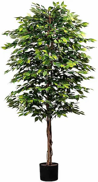 Creativ green Kunstpflanze »Ficus benjamini« mit Naturstamm günstig online kaufen