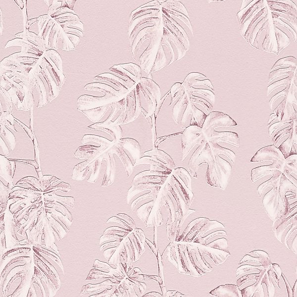 Bricoflor Altrosa Tapete mit Monstera Design Blätter Vliestapete in Rosa Id günstig online kaufen