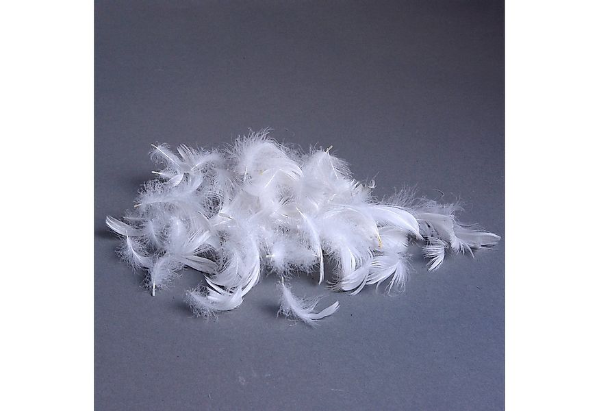 Deko AS Bastelfedern Babyfedern - Flaumfedern - weiß - 1 VE = 1 Box m. 5 g günstig online kaufen
