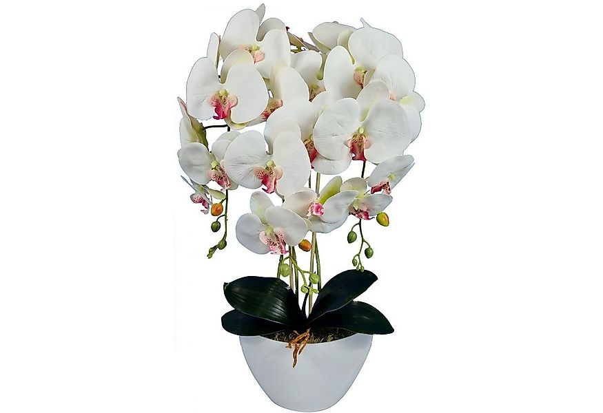 Kunstblume Orchidee, damich, Höhe 60 cm, Künstliche Orchidee 60 cm günstig online kaufen