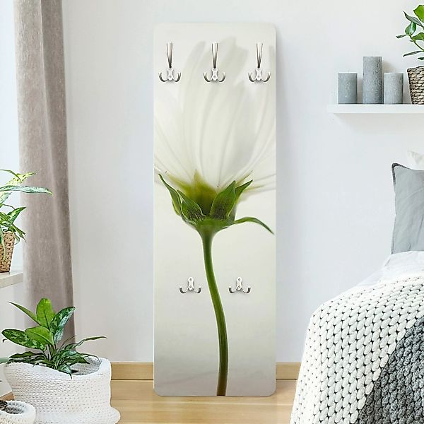 Wandgarderobe Holzpaneel Blumen Weiße Cosmea günstig online kaufen