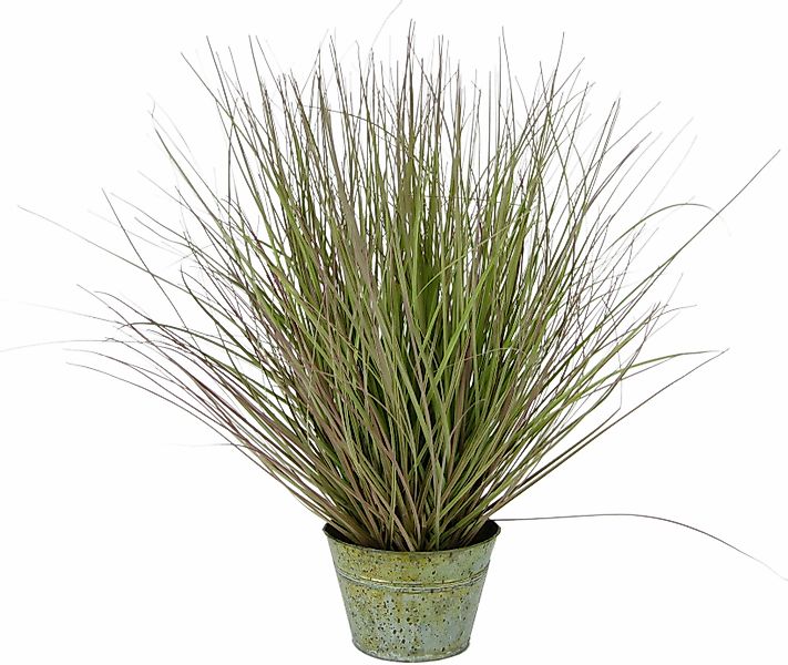 Kunstpflanze Grasbusch Gras, I.GE.A., Höhe 52 günstig online kaufen