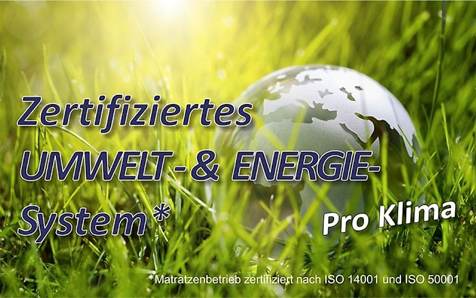 Beco Microfaserbettdecke »2 für 1, Bettdecken für Sommer und Winter, inkl. günstig online kaufen