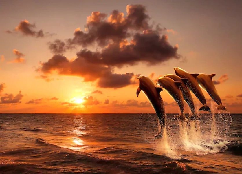 Papermoon Fototapete »Sunset Jumping Dolphins« günstig online kaufen