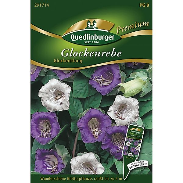 Quedlinburger Glockenrebe ''Glockenklang'' günstig online kaufen