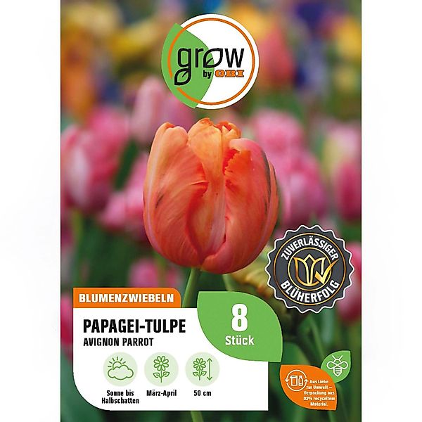 GROW by OBI Papagei-Tulpe Avignon Parrot Rot 8 Stück Tulipa parrot günstig online kaufen