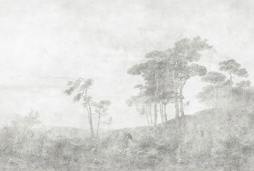 living walls Fototapete "Walls by Patel Romantic Grove" glatt Vlies, Wand günstig online kaufen