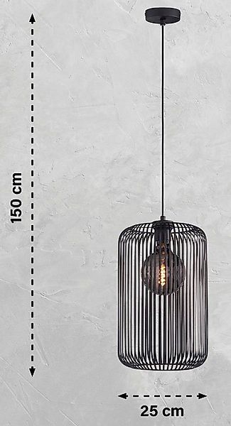 SCHÖNER WOHNEN-Kollektion Deckenleuchte Cage, ohne Leuchtmittel, günstig online kaufen