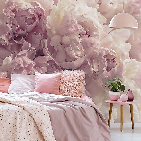 Wallarena Fototapete Blumen Pfingstrosen Rose Vlies günstig online kaufen