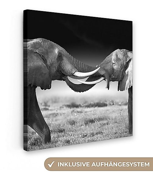 OneMillionCanvasses® Leinwandbild Elefant - Tiere - Schwarz und weiß - Port günstig online kaufen