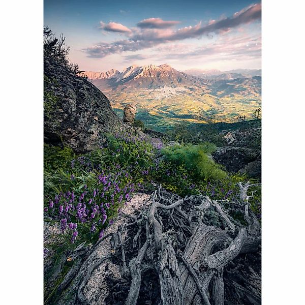 Komar Fototapete Flowering Tales B/L: ca. 200x280 cm günstig online kaufen