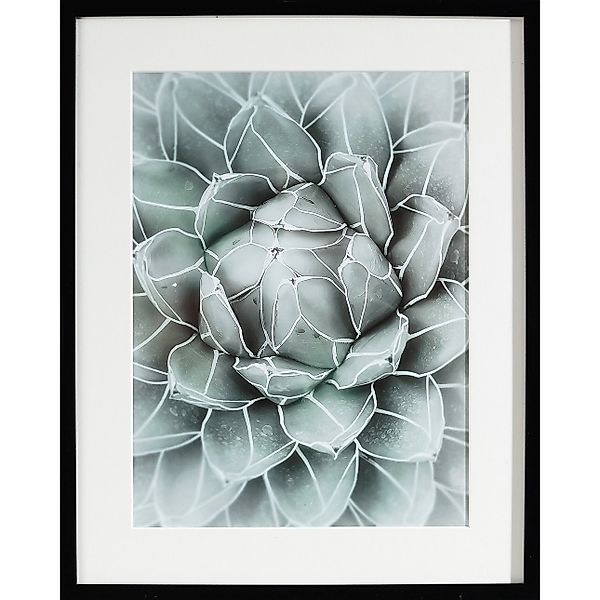 Wandbild Succulents II 40x50xcm, 40x50cm günstig online kaufen