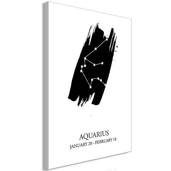 Wandbild - Zodiac Signs: Aquarius (1 Part) Vertical günstig online kaufen