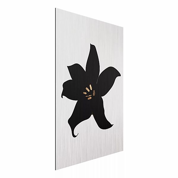 Alu-Dibond Bild Grafische Pflanzenwelt - Orchidee Schwarz und Gold günstig online kaufen