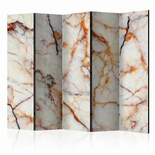 artgeist Paravent Marble Plate II [Room Dividers] grau-kombi Gr. 225 x 172 günstig online kaufen
