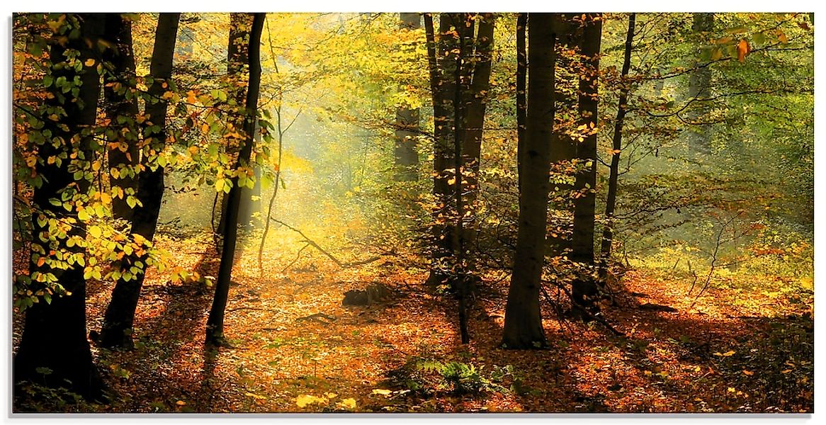 Artland Glasbild "Herbstlicht im Wald", Wald, (1 St.), in verschiedenen Grö günstig online kaufen