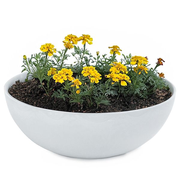 matches21 HOME & HOBBY Blumentopf Runde günstig online kaufen