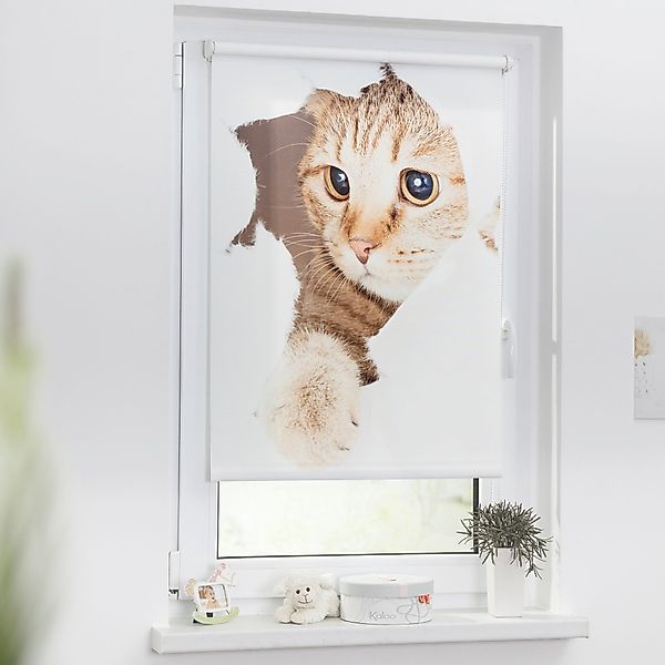Seitenzugrollo Klemmfix Digital Katze, LICHTBLICK ORIGINAL, günstig online kaufen