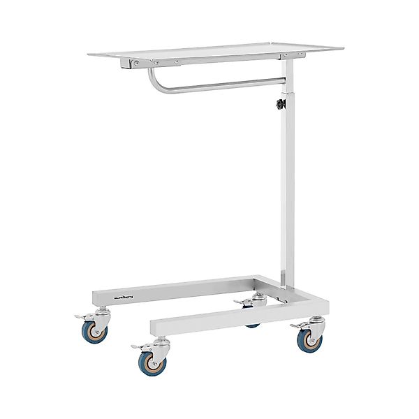 Steinberg Systems Regalwagen Instrumententisch - 60x40cm günstig online kaufen