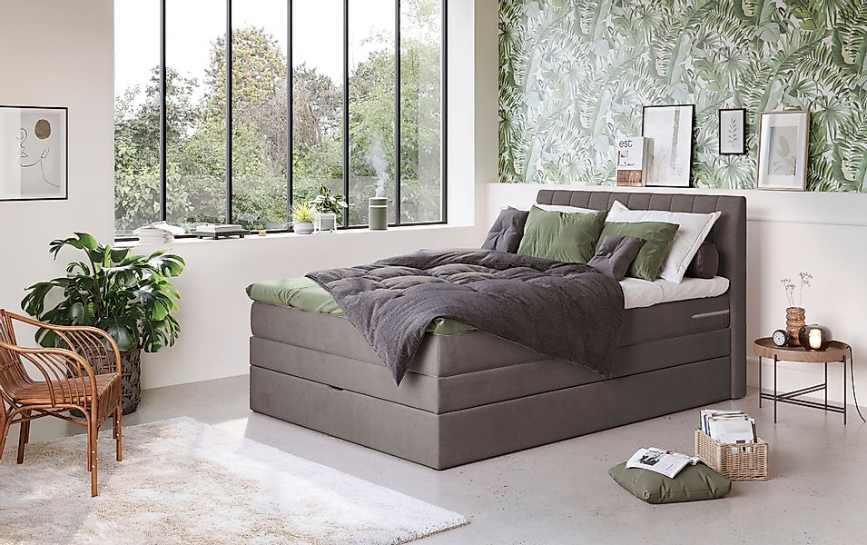 COTTA Boxspringbett »Shark inkl. Bettkasten und Topper« erhältlich in den B günstig online kaufen