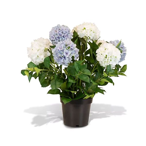 Hortensie - Hydrangea Kunstpflanze, 10 Blüten, Höhe 73 cm, weiß-blau günstig online kaufen