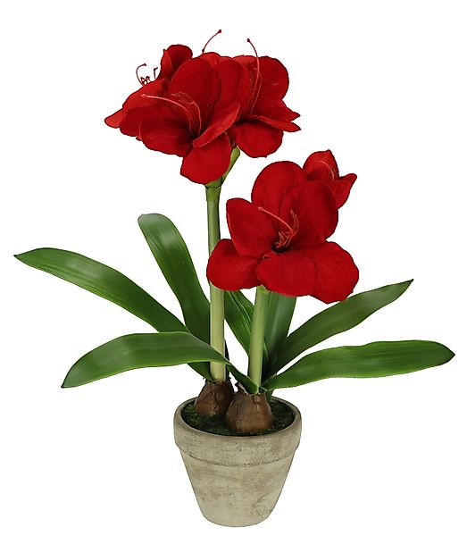 Kunstblume Amaryllis im Topf, I.GE.A., Höhe günstig online kaufen