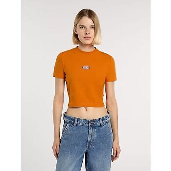 Dickies  T-Shirts & Poloshirts MAPLE VALLEY DK0A4XPO-K641 AUTUMN MAPLE günstig online kaufen