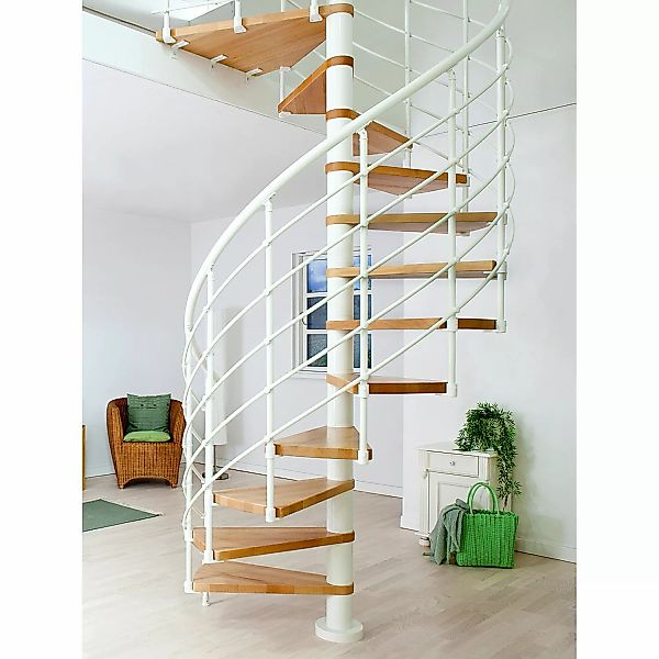 Dolle Spindeltreppe Oslo Ø 120 cm, 11 Stufen Buche GH bis 276 cm FSC® günstig online kaufen
