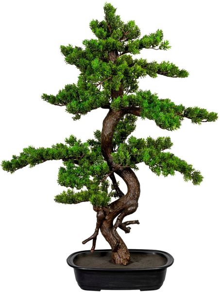 Kunstbonsai Bonsai Bonsai, Creativ green, Höhe günstig online kaufen