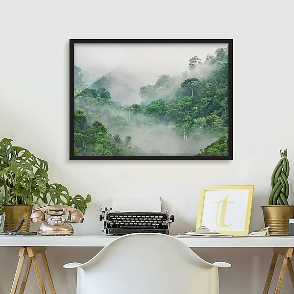 Wald Bild mit Rahmen Dschungel im Nebel günstig online kaufen