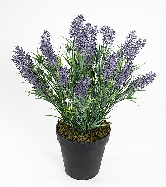 Kunstblume Künstlicher Lavendelbusch 34cm im Topf günstig online kaufen
