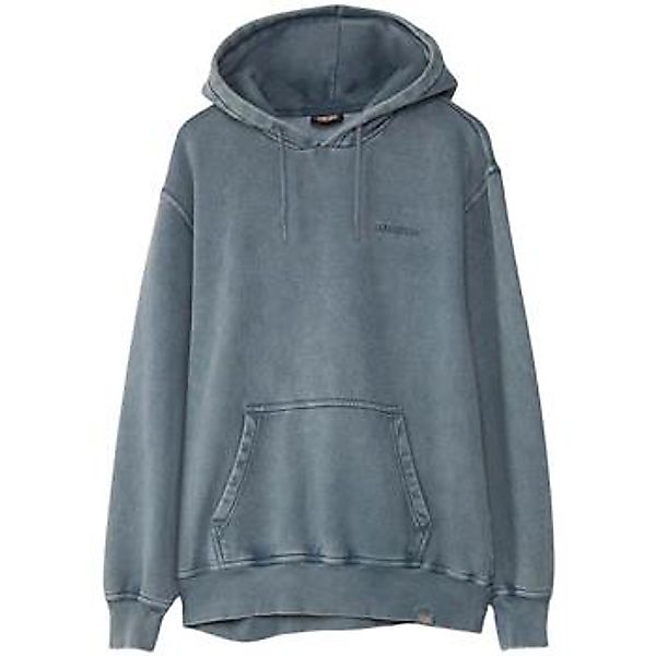 Dickies  Sweatshirt PLENTYWOOD HD - DK0A866D-G701 STORMY WEATHER günstig online kaufen