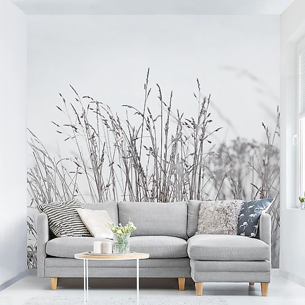 Bilderdepot24 Fototapete Blumen Winterliche Gräser Blumentapete günstig online kaufen
